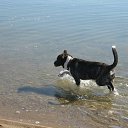 ���� �������, ����������, 39 ��� - ��������� 28 ������ 2012 � ������ ���� ����������