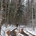 ������ ������ �� ������� ������� ����