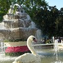 ���� Sura, ������� - ��������� 29 �������� 2011 � ������ �sveti i voda�