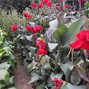 ���� ��������, ������, 44 ���� - ��������� 30 ������� 2012 � ������ ���� ����������