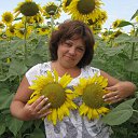 ��� ����� ���������