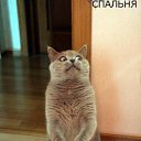 ���� ���� ���������, ������, 39 ��� - ��������� 15 ���� 2012 � ������ �������