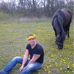 ���� ������, ����, 49 ��� - ��������� 8 ������� 2012