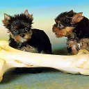 ���� ���������, ����� - ��������� 3 �������� 2012 � ������ �������