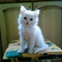 ���� �, �����-���������, 50 ��� - ��������� 9 �������� 2010 � ������ ���������