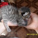 ���� ����, �������, 26 ��� - ��������� 30 ������� 2012 � ������ ���� ����������