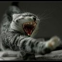���� �������, ������ - ��������� 5 ���� 2013 � ������ ���� ����������
