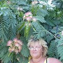  Elenka))) 220,  -  4  2012    