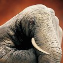 ���� Svetlana, ������, 59 ��� - ��������� 29 ����� 2011 � ������ �Hand Jobs. The Arts�