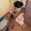 ���� ����, ����������, 62 ���� - ��������� 26 ������� 2009