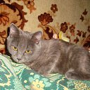 ���� Tatyana, ������, 38 ��� - ��������� 2 ���� 2013 � ������ ����� ��� ������������