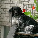 ���� ������, ����� �����, 65 ��� - ��������� 18 ���� 2013 � ������ �����