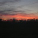 ���� ������� (��� �������), ���� - ��������� 21 ��� 2011