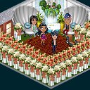 ���� Vasilisa, ������, 27 ��� - ��������� 25 ������ 2012 � ������ �Tropikania�