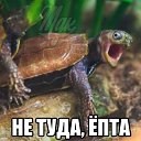 ���� ������, ������-��-����, 47 ��� - ��������� 6 ���� 2013 � ������ ������ ��������