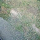 ������� ��� ������ �� ������� �������