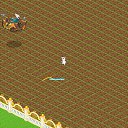 ���� ����, ������, 23 ���� - ��������� 31 ���� 2013