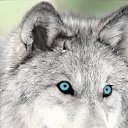  Nikita, , 32  -  13  2012