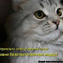 ���� ����, ����������� - ��������� 10 ������� 2010 � ������ ������� ���� �������) ����� 2�