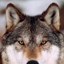 ���� ������, ���������, 40 ��� - ��������� 4 ������� 2012