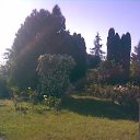 ���� Koldiv, ��������� - ��������� 10 ������ 2009 � ������ �������