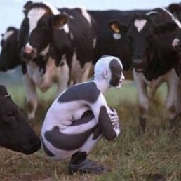 ���� ������ ��������, ������, 51 ��� - ��������� 1 ������� 2012