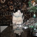 ���� ����, ������ - ��������� 1 ������ 2011 � ������ ������ ���