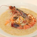 ���� ���������, �����-��������, 44 ���� - ��������� 13 ������ 2011 � ������ ���� ����������