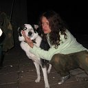 ���� ������, �����-��������� - ��������� 29 ������� 2012 � ������ ���� ����������