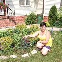 ���� �����, ������, 43 ���� - ��������� 20 ������ 2012 � ������ ������� ��