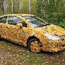    : - -!
   -,   -!
    :
    !    