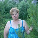 ���� ����, ���, 71 ��� - ��������� 1 ������� 2010 � ������ ���� ����������