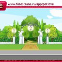 ���� Nika, ����, 38 ��� - ��������� 10 ������ 2010 � ������ �PetLove�