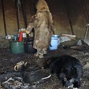 ���� ��������, ������ - ��������� 21 ����� 2012 � ������ �������� �����