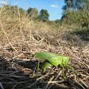 ���� ������, ���-�����, 47 ��� - ��������� 14 �������� 2011 � ������ �������