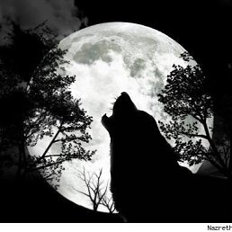 ���� ���, ����, 41 ��� - ��������� 2 ����� 2013