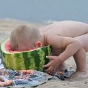 ���� �����, ���������� ����� - ��������� 8 �������� 2012