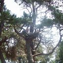 ���� Alexandr, �����������, 48 ��� - ��������� 30 ���� 2012