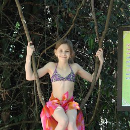 ���� �����, ����, 23 ���� - ��������� 1 ��� 2013