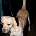 ���� �����, ��������, 31 ��� - ��������� 25 ������� 2010 � ������ ���� ���� � ������ ������