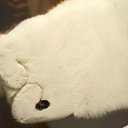 ���� ������, ������������ - ��������� 16 ������� 2012