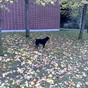 ���� Anna, �������, 55 ��� - ��������� 9 ������� 2011 � ������ �������