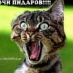 ���� �������, ������, 46 ��� - ��������� 15 ������� 2012
