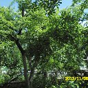 ���� Vitaliy, ����, 53 ���� - ��������� 26 ��� 2013 � ������ ���� ����������