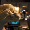 ���� "@����", �����-���������, 25 ��� - ��������� 26 ������� 2010 � ������ �Catc &amp; Docs�