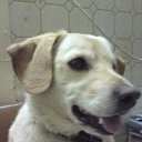 ���� ����, ������������, 62 ���� - ��������� 2 ���� 2013 � ������ ����� ��� ������������