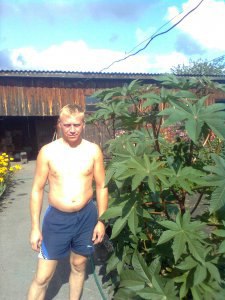 ���� �������, ������������, 51 ��� - ��������� 17 ���� 2013