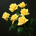 ���� ����� - ���������� ��������!!!, �����������, 56 ��� - ��������� 16 ������ 2010 � ������ ������ۻ