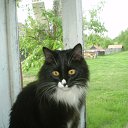 ���� K��k�, ������ ��������, 35 ��� - ��������� 3 ������� 2010 � ������ �my Cat�