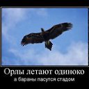 ���� Oleg, �����������, 46 ��� - ��������� 3 ���� 2011 � ������ �������
